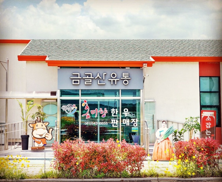 Sangolsan Agricultural Cooperative Corporation Jindo Hongmihyang Hanwoo