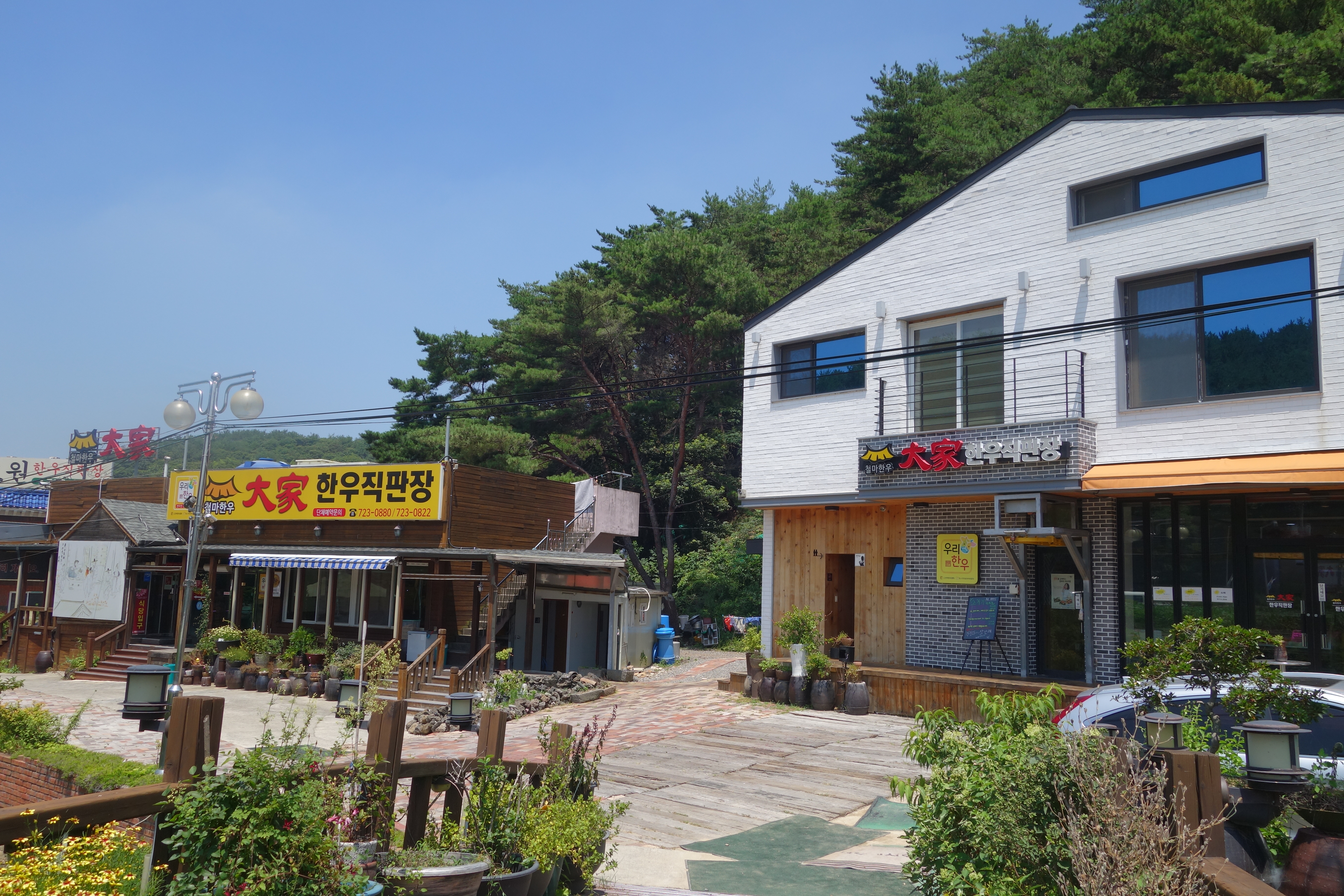 Cheolma Daega Hanwoo Direct Sales Market