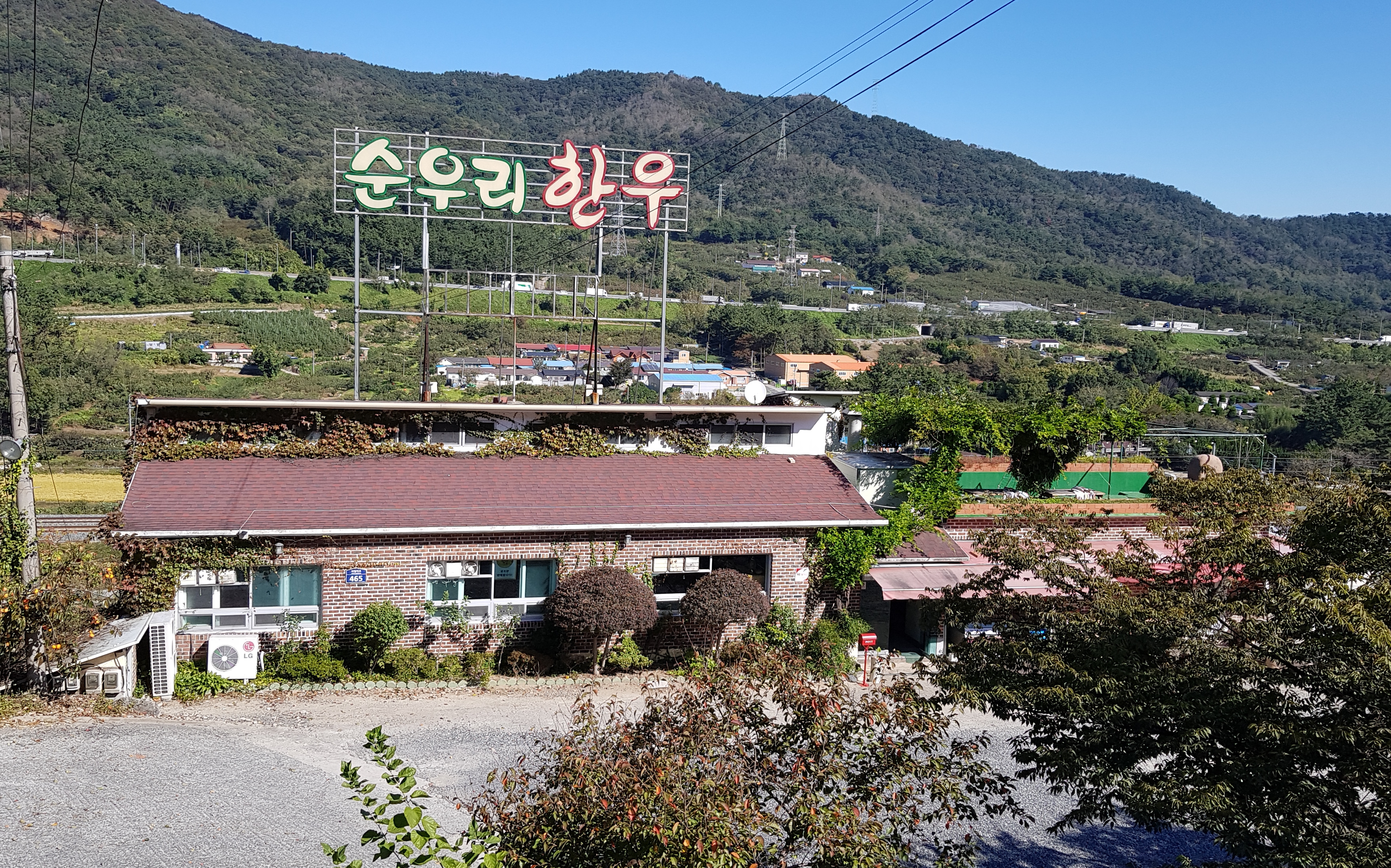 Soonwoori Hanwoo